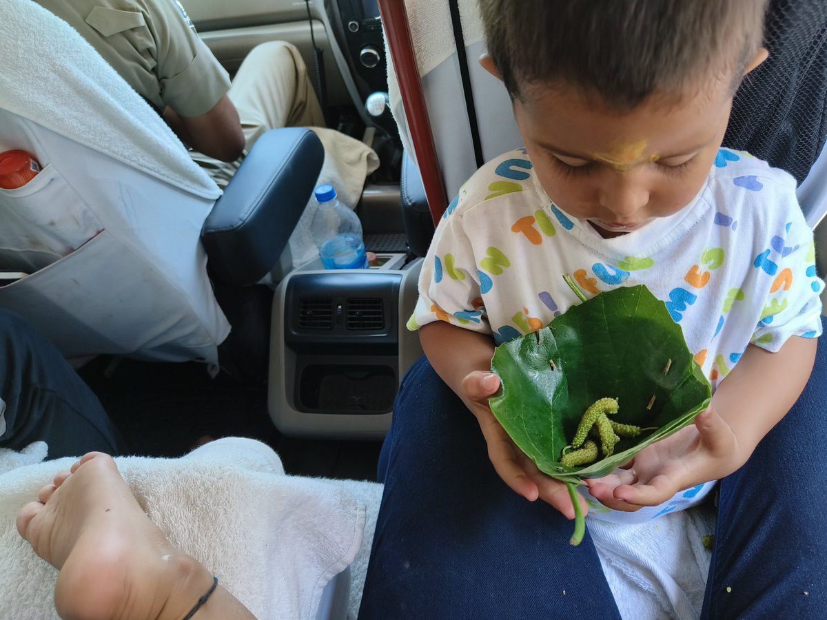Savi_IFS's tweet photo. There comes a stage, when u run away from crowded malls, artificial lights &amp; meaningless noise.

Thank God that we hv some place to run to where there are butterflies, bees, 🐜, #birds, water &amp; #green everywhere! 

#Back2Nature 
#Kids #Fun
#Motherhood

@DisttForester https://t.co/JNBLUnZ3Pm