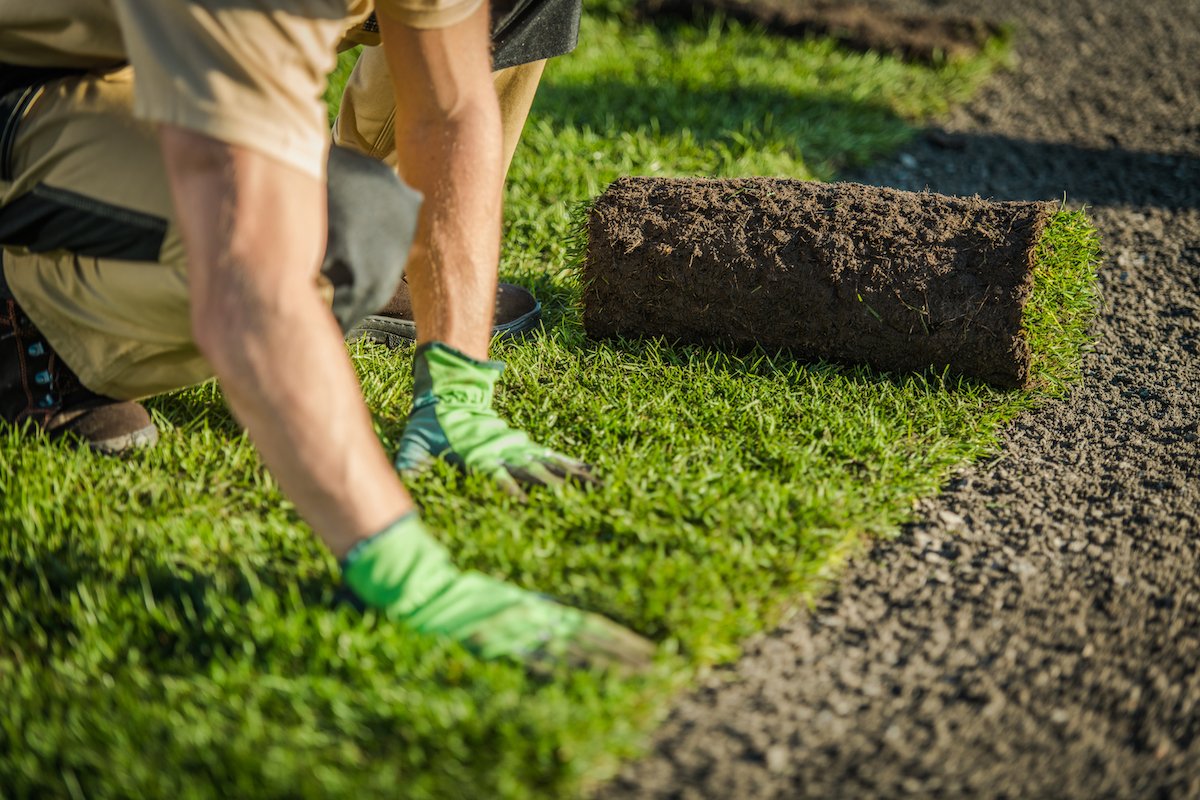 slandscapingpro's tweet photo. Follow Sydney Landscaping Pro for high-quality turf-laying services. join this link for more details
https://t.co/zDaqLIEJV6
#turf #turflay #sydney #sydneyturf #sydneyturflaying #turflaying #turflayingmaintenance #sydneylandscaping #turflayingservice #landscapedesign #turflayer https://t.co/7aWvJLAysb