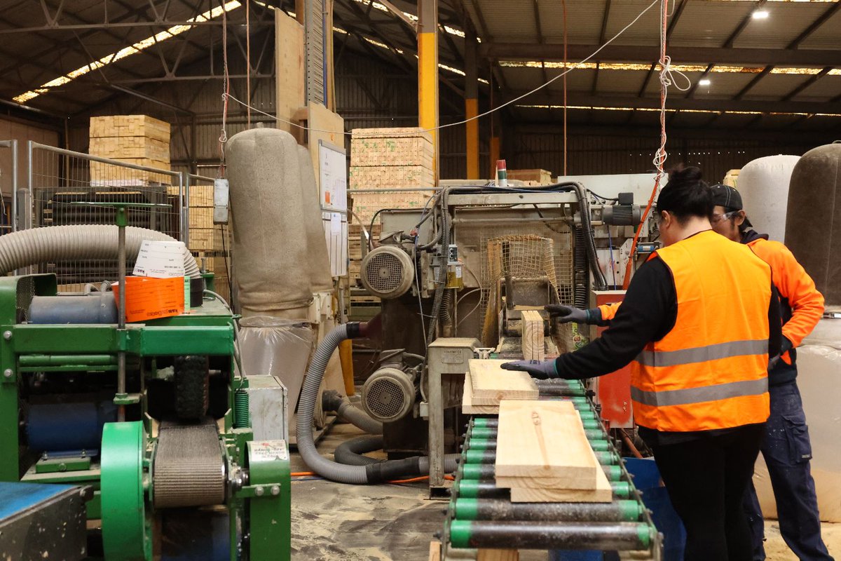 Hardworking individuals taking on the tough job of loading timber onto the machine. Their dedication and perseverance are inspiring! 
#workethic #teamwork #logging 🌳👷‍♂️💪