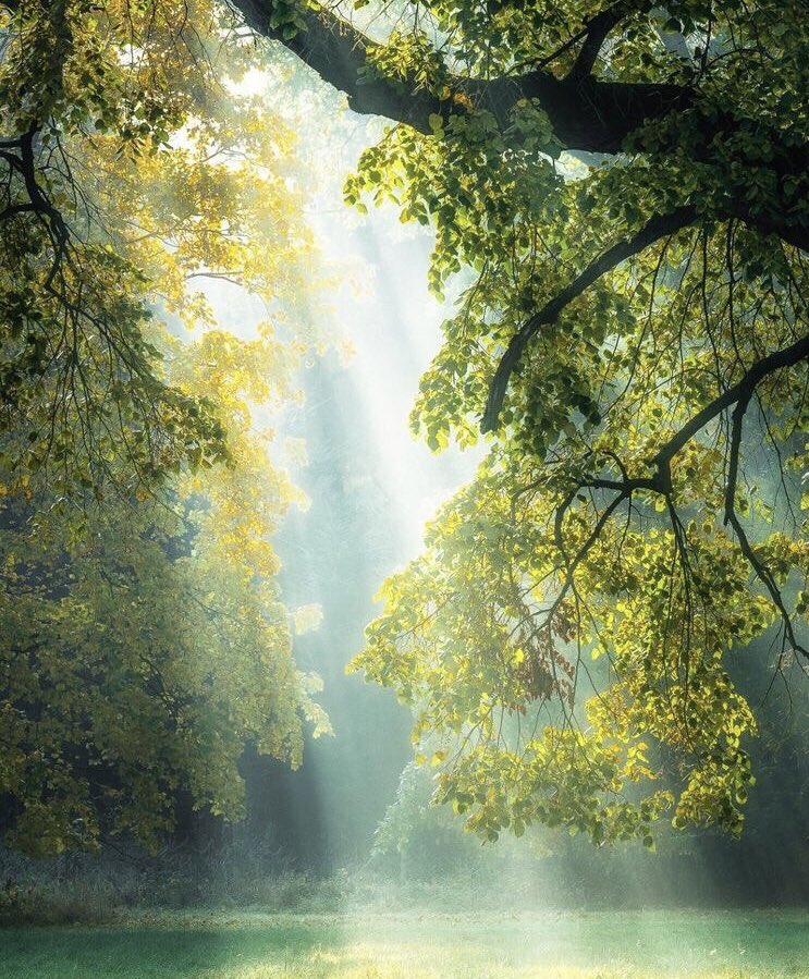 私いま心弱ってたのか…

いつもいつも強気で
そうやって生きてきた

不意に君の歌声聴いて
泣いてる自分に気付く

そっか
涙が出ると優しい気持ちだけ
残るんだ
今更ながら気付かされた

この子の歌声はもっと
世に出るべき。

instagram.com/stories/udon_h…