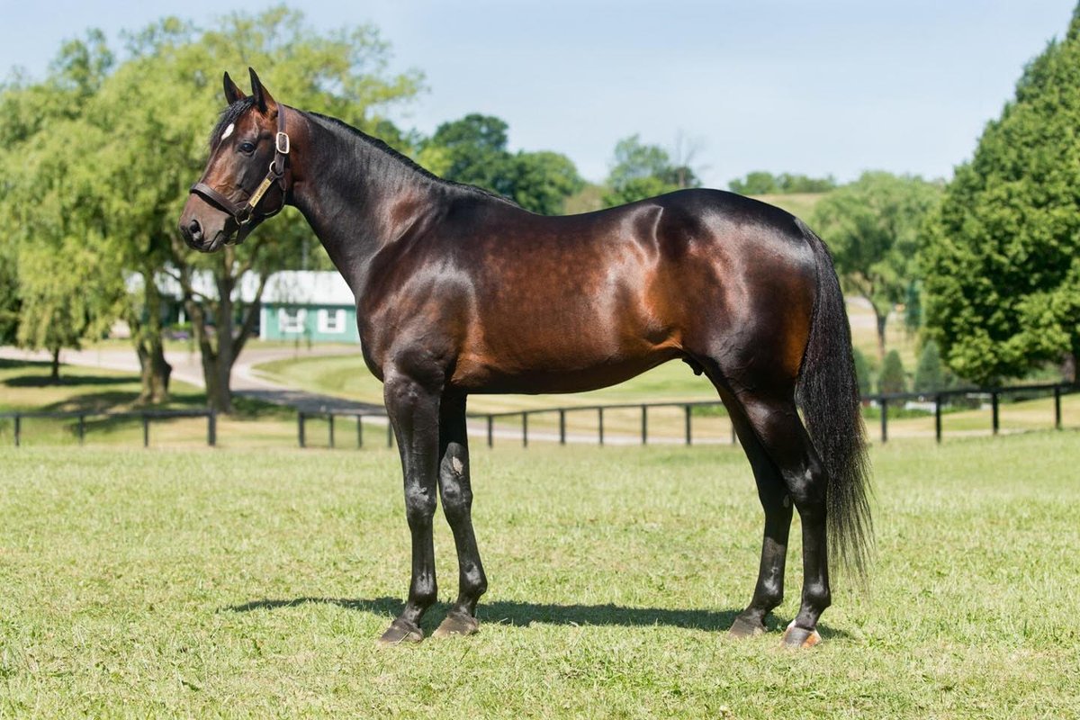 worldtrot.se tweet media