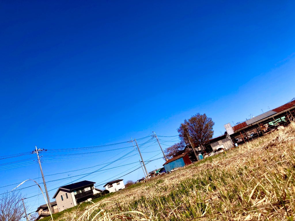 明日、大相模ガルテンで約20種類の野菜のタネを、まるで花咲か爺さんのように、パァっと撒きます。

協生農法、始動。

こっからもっと種類増やして、モッサモサにしたいな。