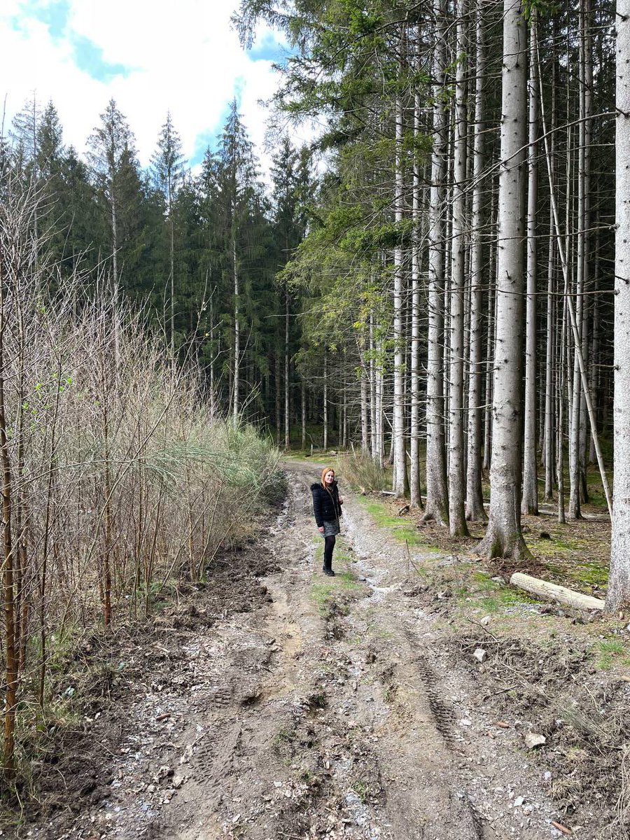 Annelies tweet media