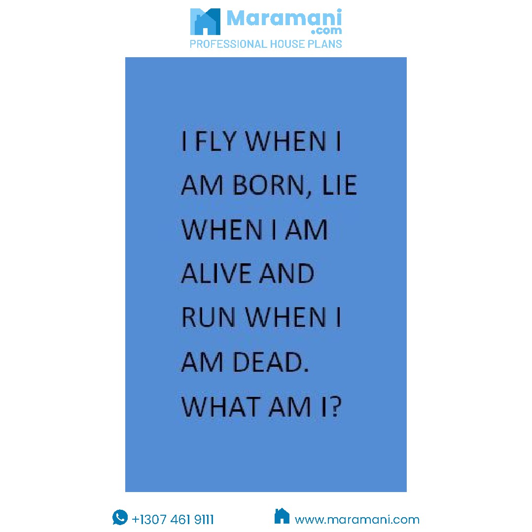 maramaniplans's tweet photo. Riddle me this...I fly when I'm born, lie when I'm alive, and run when I'm dead. What am I?
From@Riddle With Me[Pinterest] 
#brainteaser
#puzzlewednesdays
#puzzleoftheweek https://t.co/gXzDwR2U6i