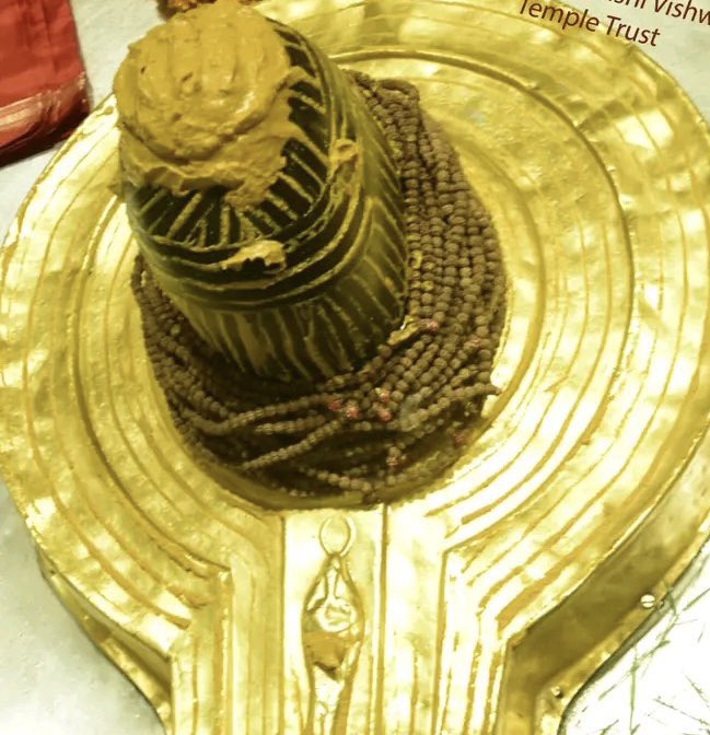 amarnathdham's tweet photo. श्री काशी विश्वनाथ मंदिर के प्रातःकाल के मंगल दर्शन 12.04.2023 https://t.co/pLOUpgM7JB