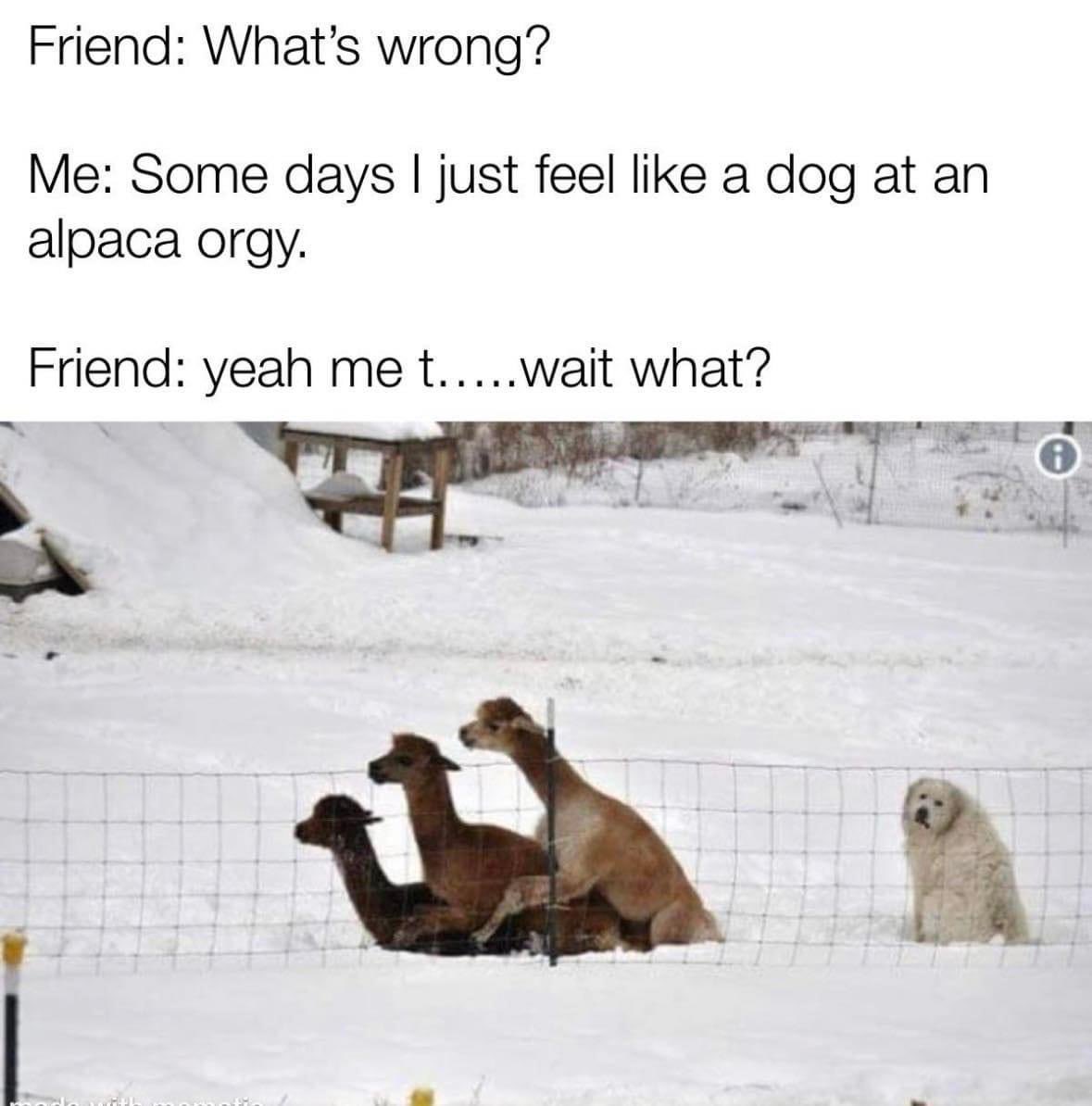 Lina (@d0rkph0enix) on Twitter photo 