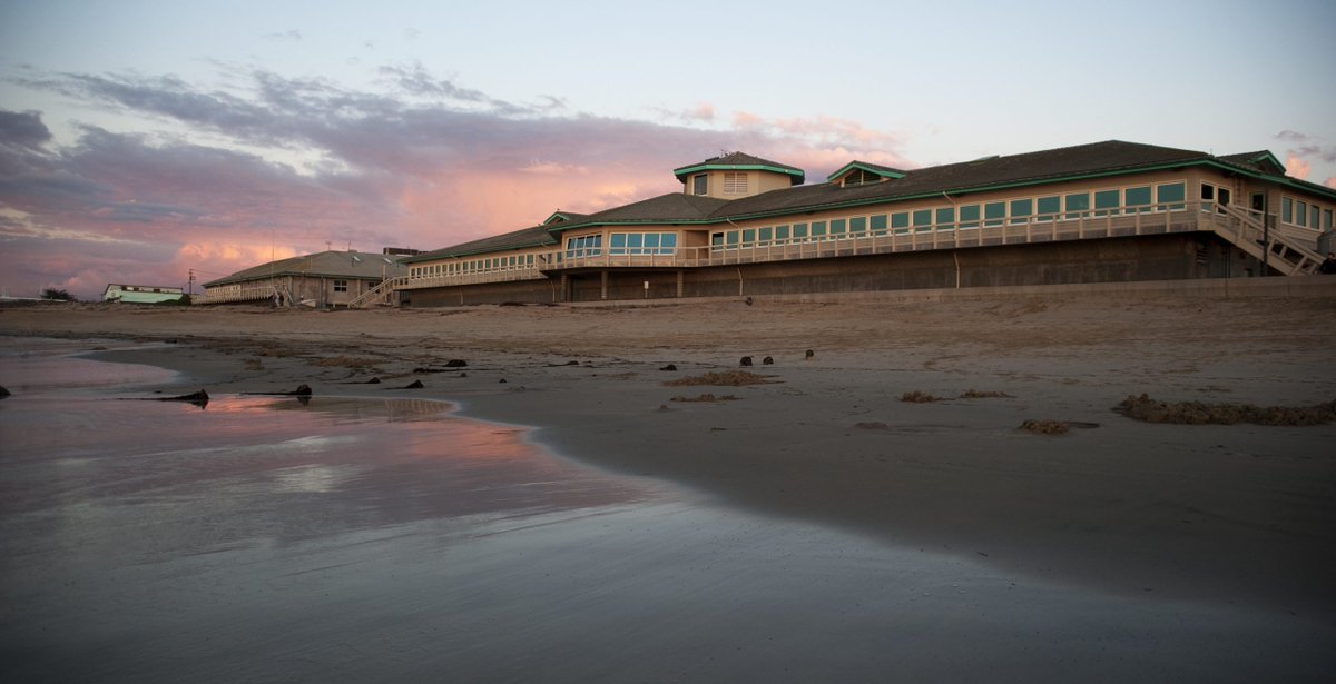 Aaron Micallef tweet media