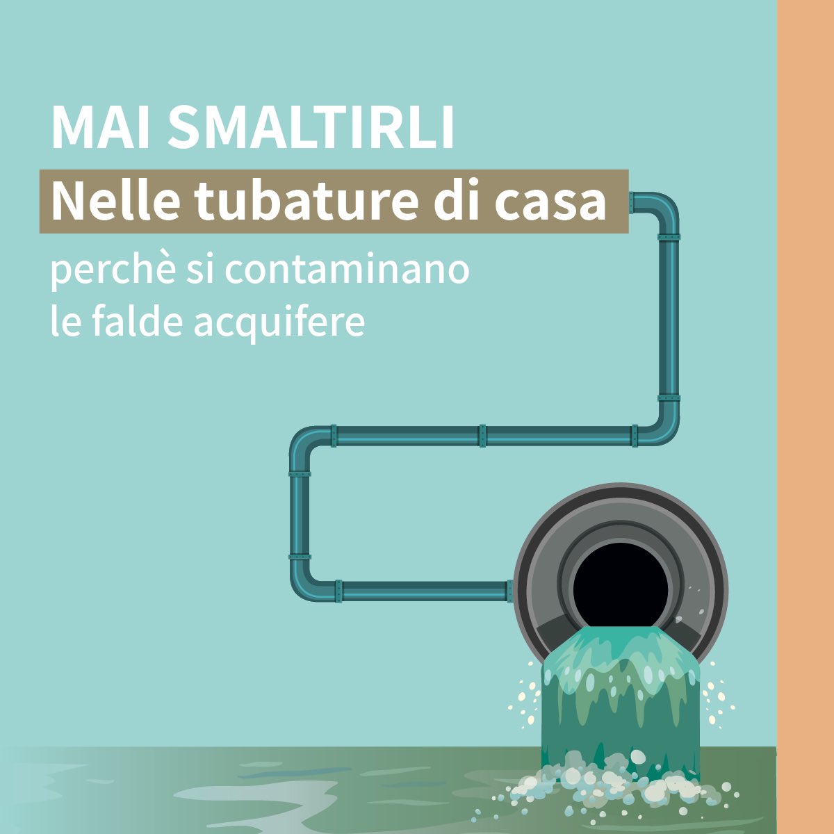 MarioNegriIRCCS's tweet photo. Attenzione allo smaltimento dei #farmaciscaduti. I farmaci non sono dei rifiuti come gli altri e non devono essere smaltiti nel bidone generico, nè tantomeno nel lavandino o nel wc! https://t.co/eTeoPVjeyG