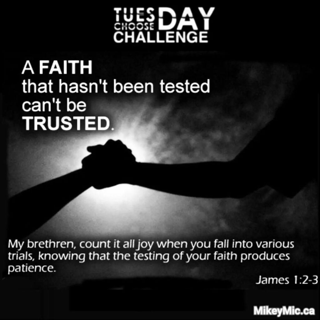 Michael A. M. Masci tweet media