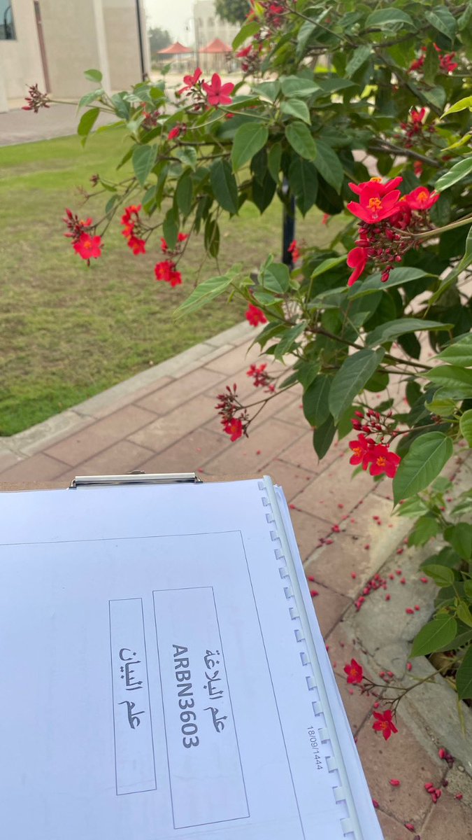 يزهرك الله ولو طال خريفك