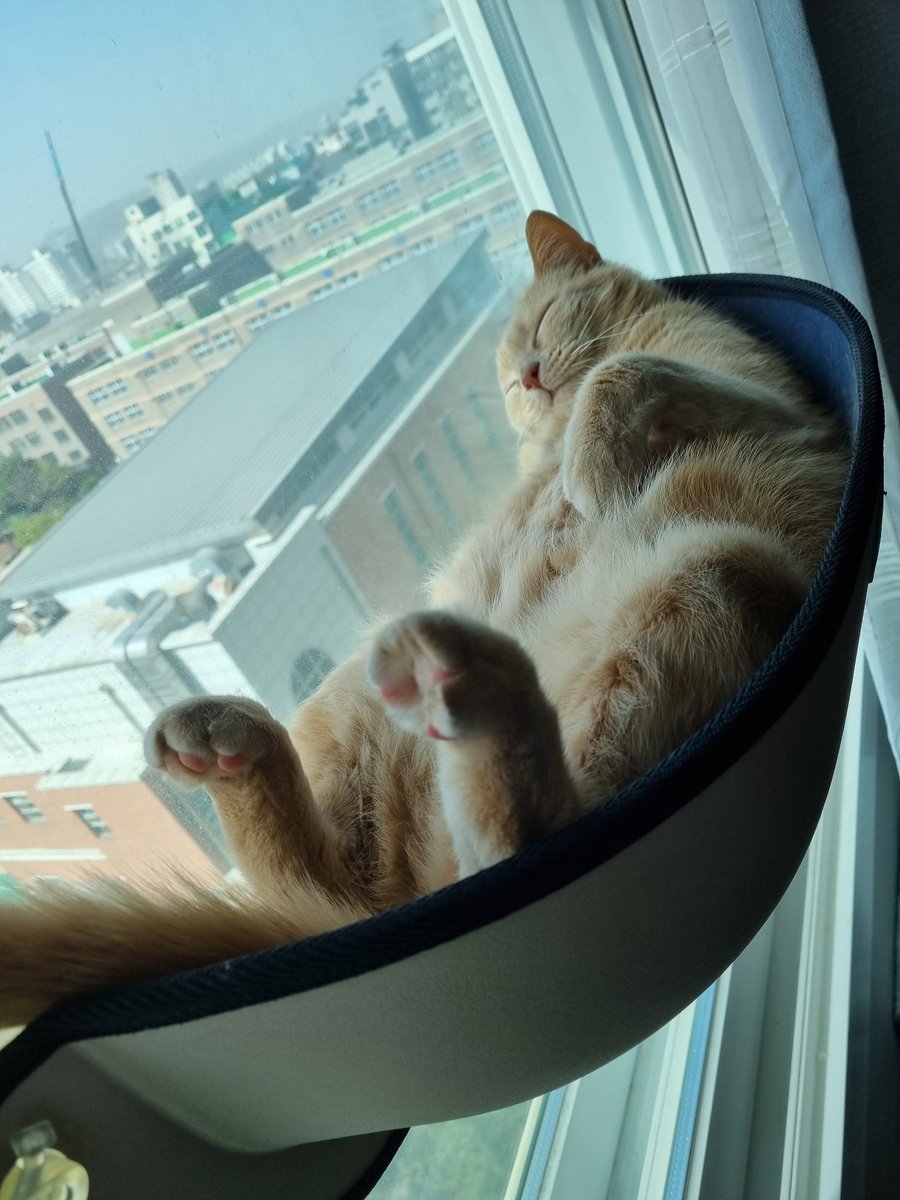 2020.04.12.                      2023.04.13.