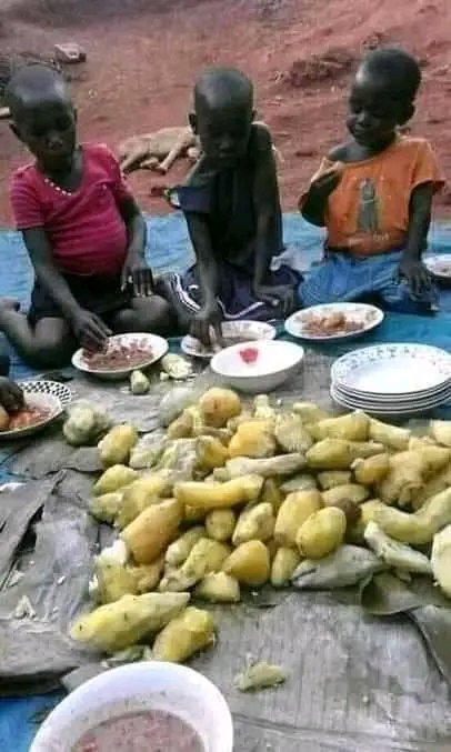 Help A Life Foundation Africa tweet media