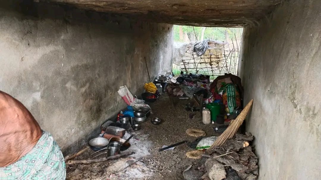 woymforpeople's tweet photo. Old Couple living under a Culvert near Birkel Village of Badimunda GP of Loisingha Block, they don't have House to stay.
This is the true picture of different House scheme of Government or what ?
Need your immediate response.
@CollectorBgr @CMO_Odisha @PMOIndia @MahalingMukesh https://t.co/ObB5KMS9Xg