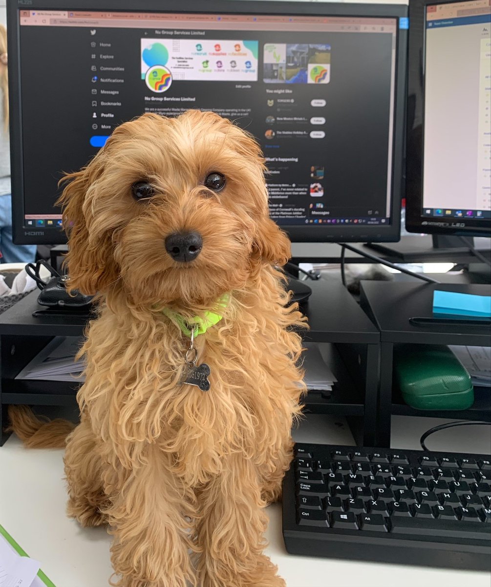 Nu Group FM Limited tweet media