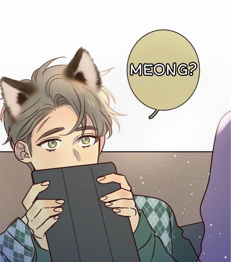 teleseavey's tweet photo. kosan meong https://t.co/BCjDfSncEk