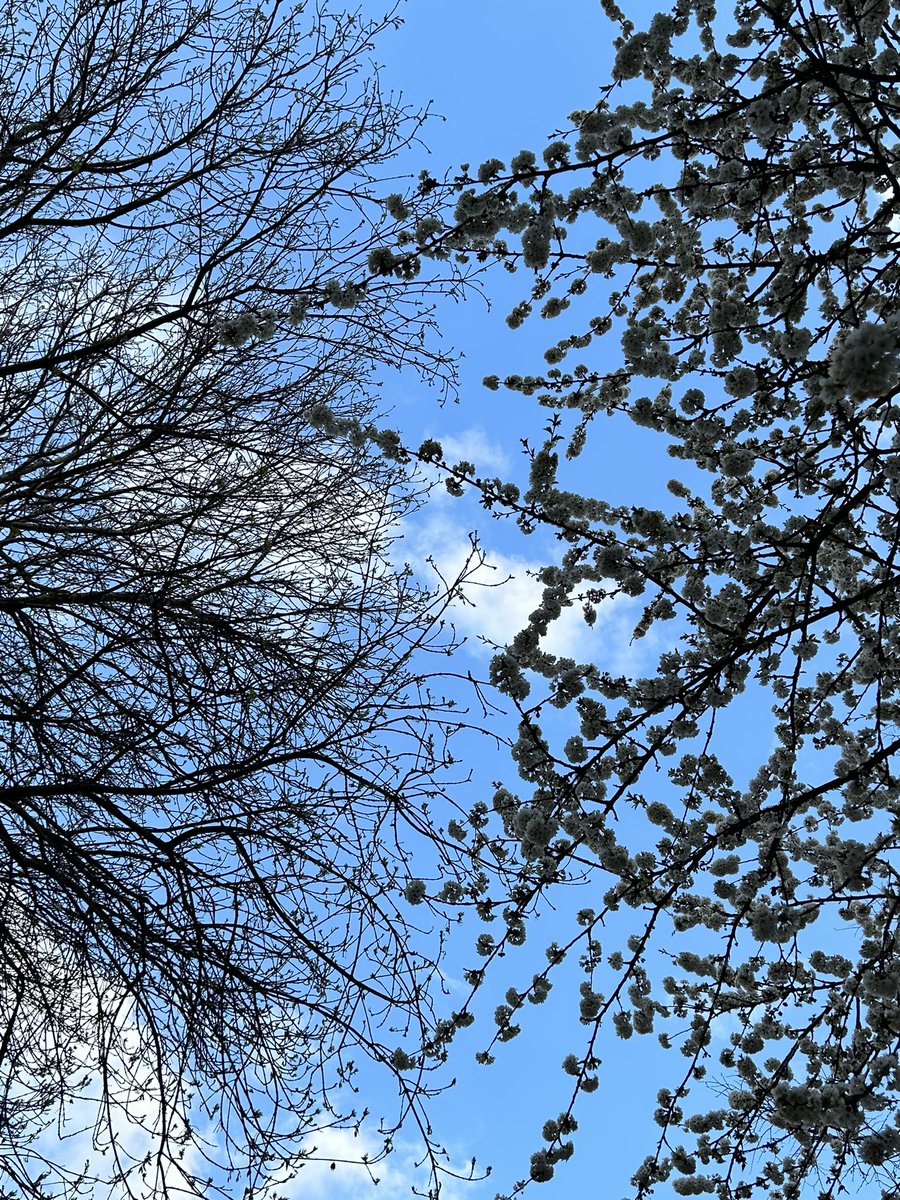 IlkaRocks's tweet photo. Half winter, half spring in #Sofia, #Bulgaria 😎

#софия #българия #europe #visitsofia #visitbulgaria #travel #explore #spring #SpringIsComing https://t.co/asvroTSUqH