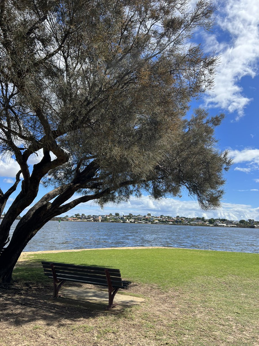 21st Ramadan 🚩#ImamAliع #LifeinAus