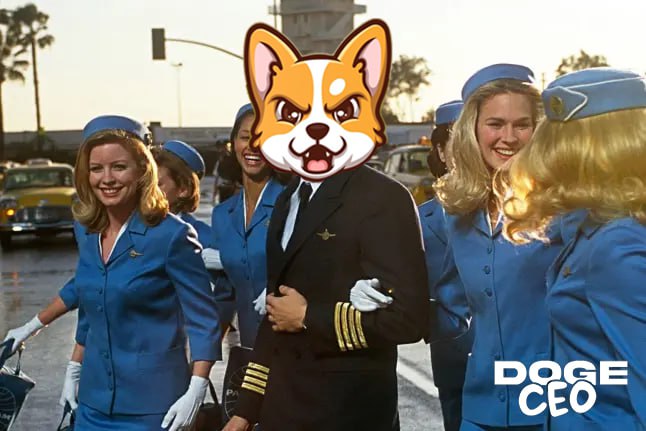 the grey tweet media