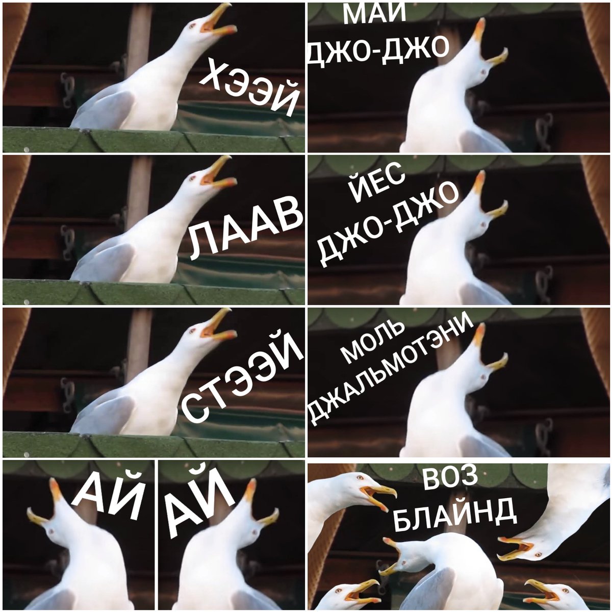 smile_Hoby's tweet photo. @funAnalytic Мем, который будет жить вечно https://t.co/qayIyunnHD