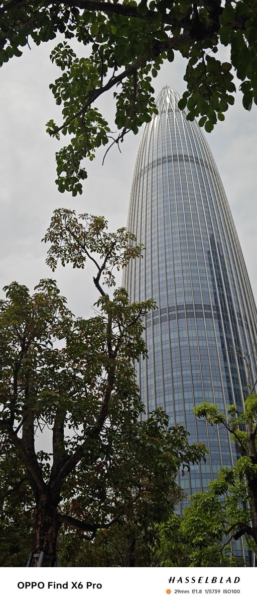 himmelmeer22's tweet image. #shotonOPPO
#FindX6Pro
#NoEdits
#SummerDaysinBloom