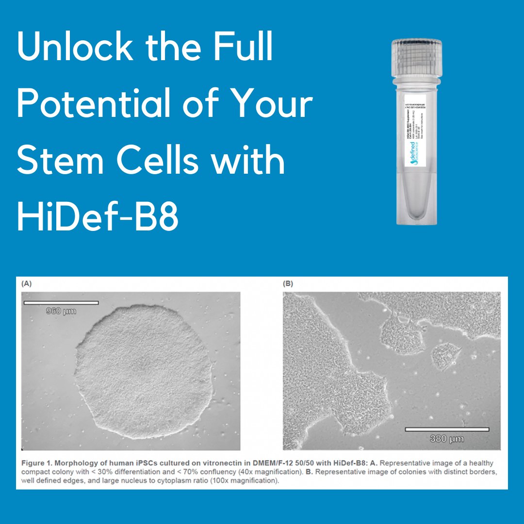 DefinedBio's tweet photo. Upgrade Your Stem Cell Culture with HiDef-B8. Experience High-Quality Stem Cell Growth with Defined Bioscience's Innovative Media. 
#iPSC #stemcells #cellculture #Definedbioscience #HiDefB8 #growthmedia https://t.co/sS5fjlU5Fo
