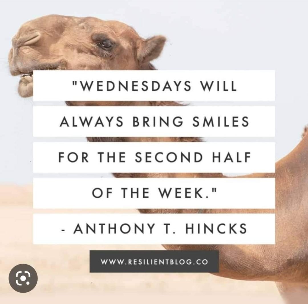 Morning legends.

Happy #wednesdayhumpday 
Well, you're amazing. #amazing 
Last push to the #weekend 
#DontManUpSpeakUp 
💚as always, big love 💪 💚 
 #growthepage #knowledgeispower #sharethepage #mentalhealthadvocate #help #helpingothers #bipolarawareness #charity
