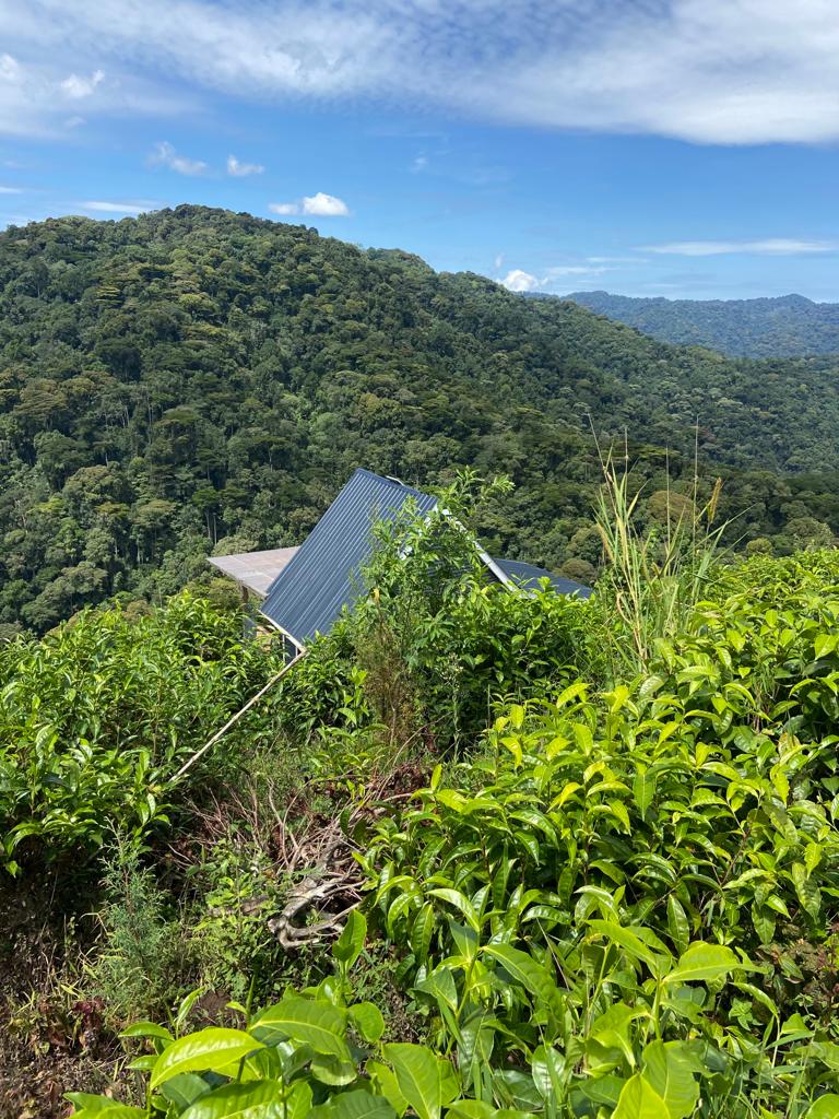 Some memories wield a rustic charm,to soothe the sense into mystic calm. Well not at the lake so you can look for me, I'm in the little beautiful #carbin @IhambaResidence 
#naturelovers 
#nature 
#forest 
#bwindiimpenetrable