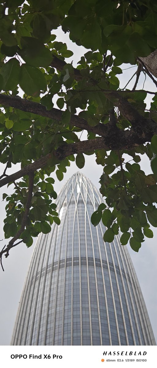 himmelmeer22's tweet image. #shotonOPPO
#FindX6Pro
#NoEdits
#SummerDaysinBloom