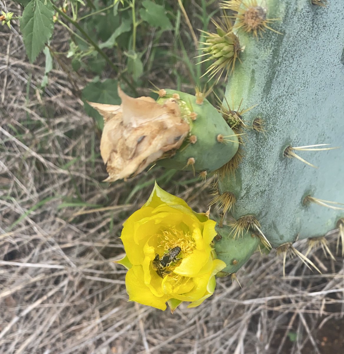 morgan (@beepdobeepdo) on Twitter photo 