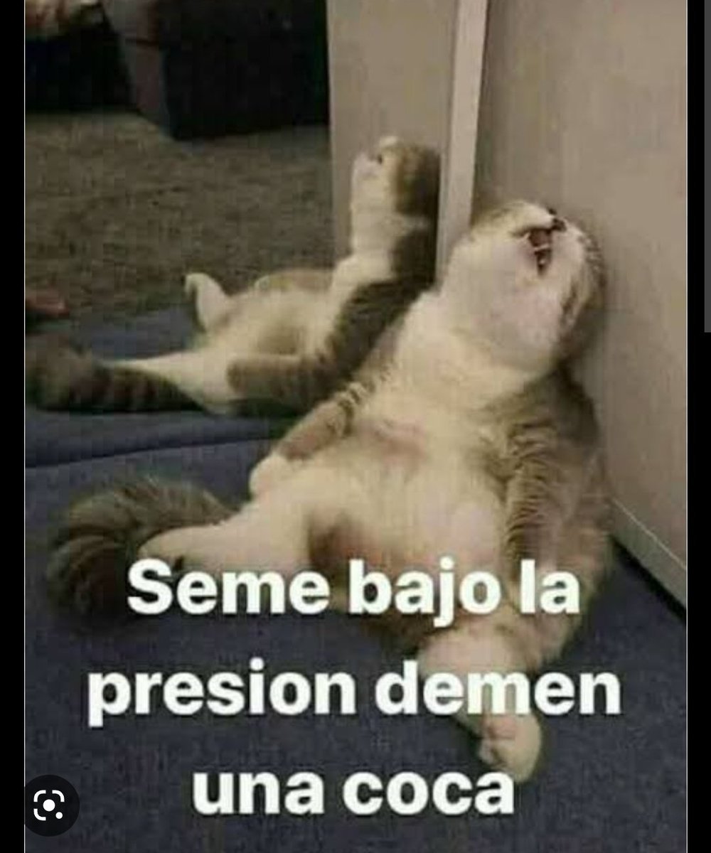 Ya se le bajó la presión #talentmatchtl