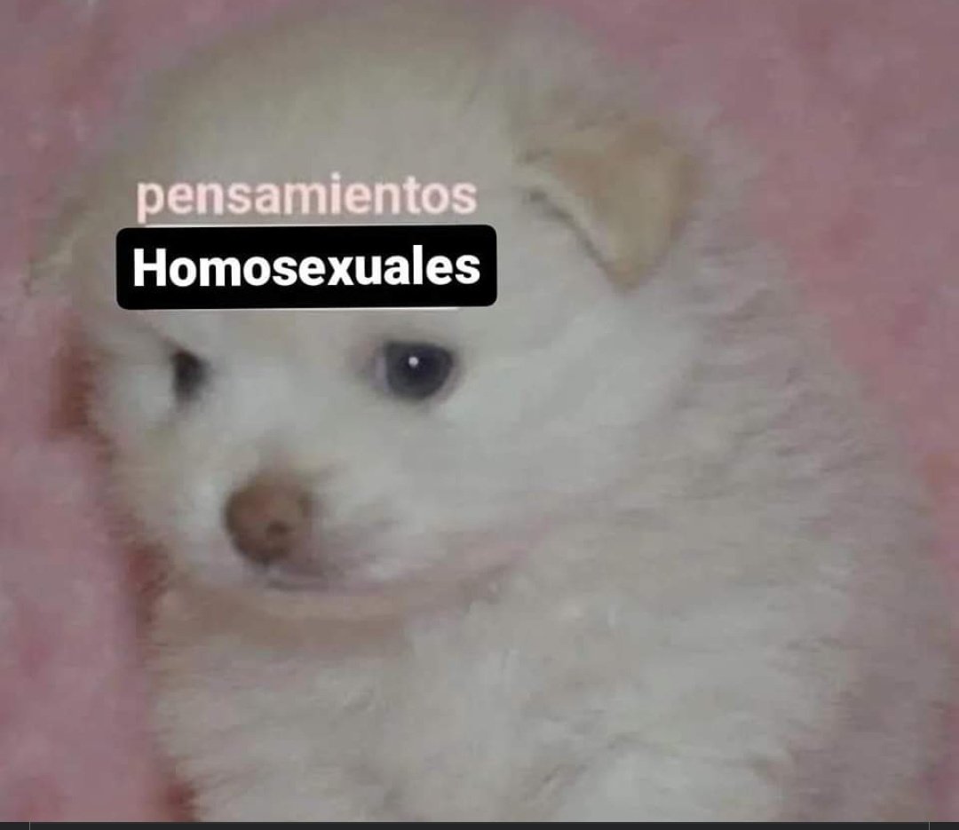 tOdatiti's tweet photo. Cuando una gota de alcohol entra en mi organismo: https://t.co/1ZAZ9RoHMU