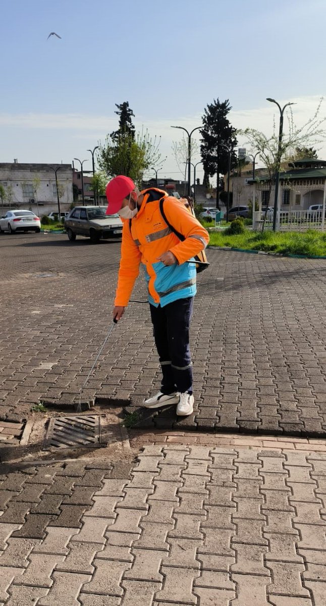 sanliurfabld's tweet photo. Günün ilk ışıklarından itibaren, sizin için sahada görevimizin başındayız.

Vektör ve haşerelere karşı mücadele çalışmalarımız; 43 araç ve 120 personelle devam ediyor💦 https://t.co/J7Q6jx3eJf