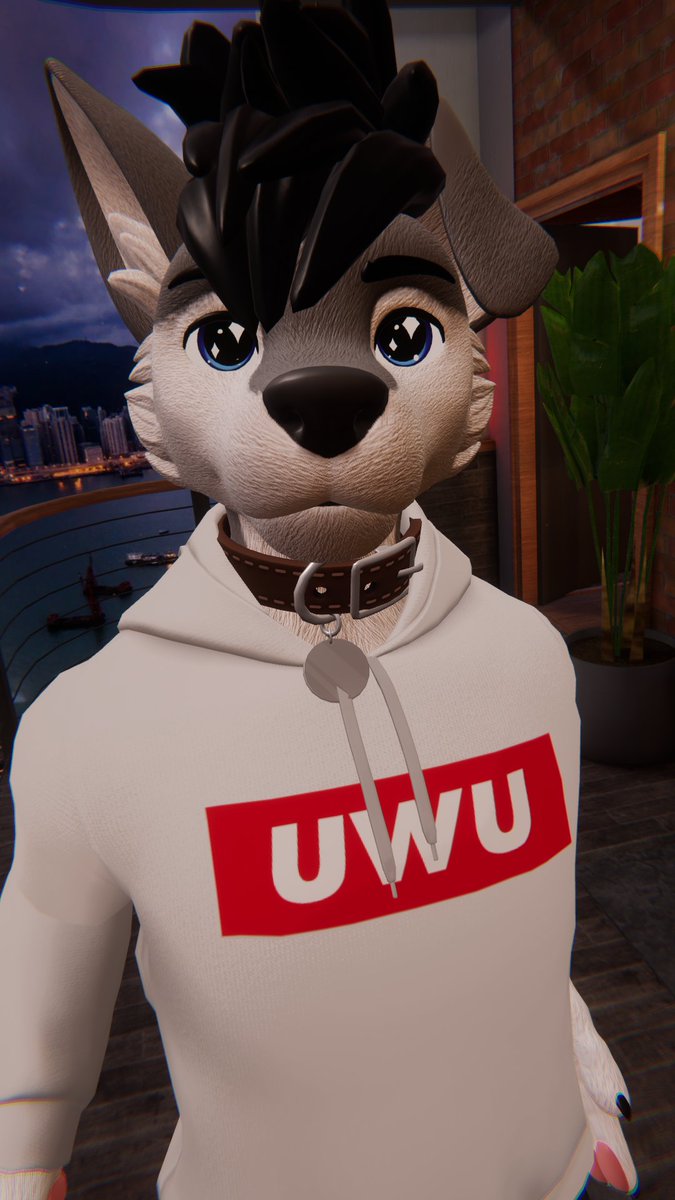 rosepack28's tweet photo. Nose boops please!

#VRChat #VRC #furry #furryfandom #furrycommunity #twitch #TwitchStreamers https://t.co/Bxy6fBqZBy