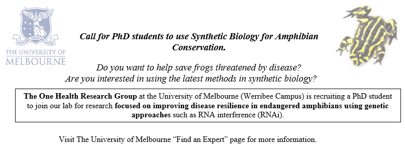 We are looking for a PhD student with molecular biology skills to join our team.
For more information, and to apply, please visit:
findanexpert.unimelb.edu.au/opportunity/60…