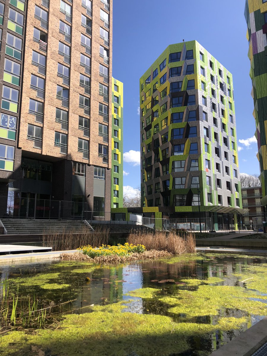 Bijna niet meer voor te stellen dat dit een parkeerterrein was met een atoombunker #klimaatadaptief bouwen