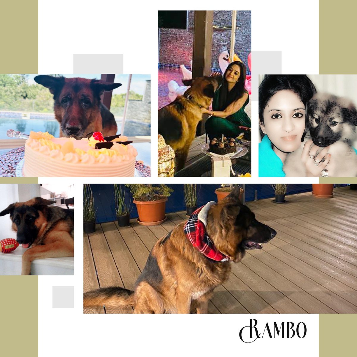 Celebrate National Pets Day 2023 and spread the love for our furry friends!

#NationalPetsDay #PetsDay #AdoptDontShop #RescueAnimals #FureverFriends #PetLove #PetsAreFamily #PetLoveDay #PetsDayFun #PetLoversUnite #PetsLife #PetParenting #PetsDay2023 #pavithrahalkatti #socialgood…