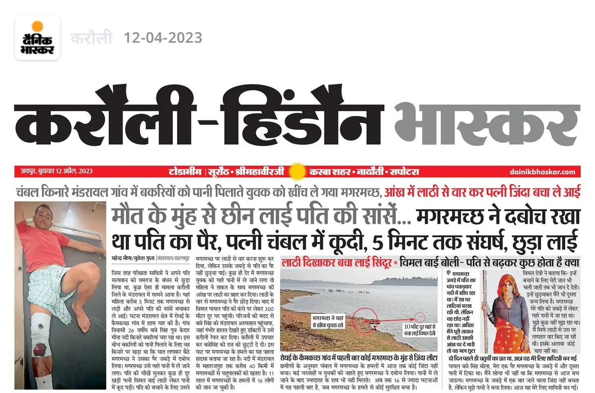 meena_johari's tweet photo. कोमल है तू कमजोर नहीं,शक्ति का नाम ही नारी है..
जग को जीवन देने वाली, मौत भी तुझ से हारी है!!🙏
#बहादुर_विमल_बाई_सम्मानित_हो

#बहादुर_महिला! अपने पति को मगरमच्छ से बचाने के लिए चंबल नदी मे मगरमच्छ से भिड़ गई विमल! कहा : "पति को बचाने मे मेरी जान भी चली जाती तो कोई बात नहीं!" 
मेरी गुजारिश है कि सरकार द्वारा इन्हे सम्मानित करना चाहिए।

पशुपालक बन्ने सिंह मीना अपनी बकरियों को पानी पिलाने चंबल किनारे लेकर गए थे तभी मगरमच्छ आया और उसका पैर पकड़कर पानी के अंदर ले जाने लगा, तभी पास में खड़ी पत्नी विमल बाई को उनकी आवाज सुनाई दी और वो एक लाठी उठाकर पानी मे कूद गई 15 मिनट तक मगरमच्छ से संघर्ष करती रही।
मगरमच्छ जैसे ही पति को अंदर खींचने लगा तब ही विमल बाई ने लाठी को मगरमच्छ की आंख में गाड़ दिया ये देख मगर घबरा गया और वो  बन्नी सिंह मीना के पैर को छोड़कर पानी मे भाग गया।

विमल बाई मीना का ये जज्बा व हौसला काबिले तारीफ है, उसने आज अपने सुहाग को दूसरा जीवन दिया है।
