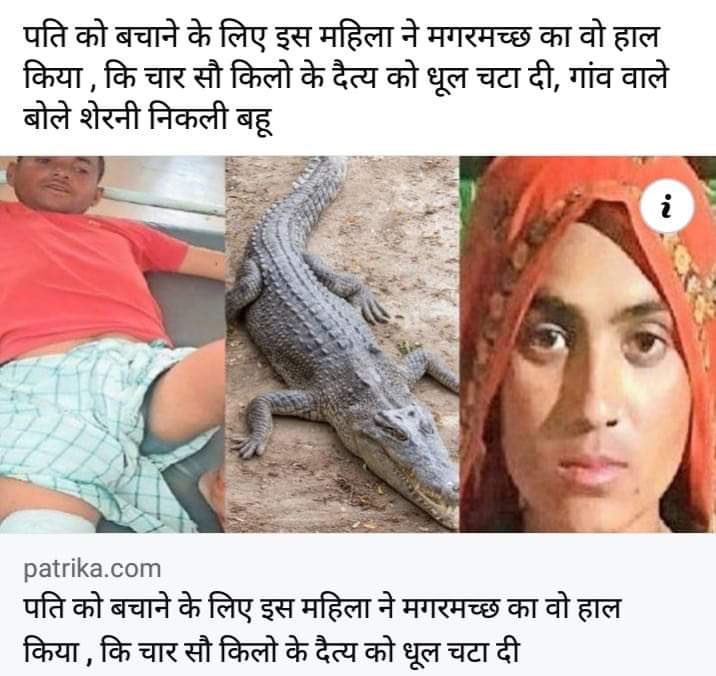 meena_johari's tweet photo. कोमल है तू कमजोर नहीं,शक्ति का नाम ही नारी है..
जग को जीवन देने वाली, मौत भी तुझ से हारी है!!🙏
#बहादुर_विमल_बाई_सम्मानित_हो

#बहादुर_महिला! अपने पति को मगरमच्छ से बचाने के लिए चंबल नदी मे मगरमच्छ से भिड़ गई विमल! कहा : "पति को बचाने मे मेरी जान भी चली जाती तो कोई बात नहीं!" 
मेरी गुजारिश है कि सरकार द्वारा इन्हे सम्मानित करना चाहिए।

पशुपालक बन्ने सिंह मीना अपनी बकरियों को पानी पिलाने चंबल किनारे लेकर गए थे तभी मगरमच्छ आया और उसका पैर पकड़कर पानी के अंदर ले जाने लगा, तभी पास में खड़ी पत्नी विमल बाई को उनकी आवाज सुनाई दी और वो एक लाठी उठाकर पानी मे कूद गई 15 मिनट तक मगरमच्छ से संघर्ष करती रही।
मगरमच्छ जैसे ही पति को अंदर खींचने लगा तब ही विमल बाई ने लाठी को मगरमच्छ की आंख में गाड़ दिया ये देख मगर घबरा गया और वो  बन्नी सिंह मीना के पैर को छोड़कर पानी मे भाग गया।

विमल बाई मीना का ये जज्बा व हौसला काबिले तारीफ है, उसने आज अपने सुहाग को दूसरा जीवन दिया है।