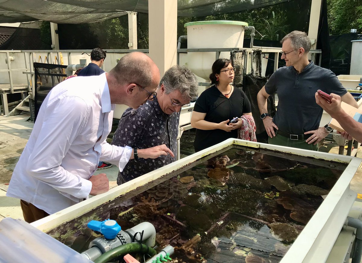 CNRSinASEAN tweet media