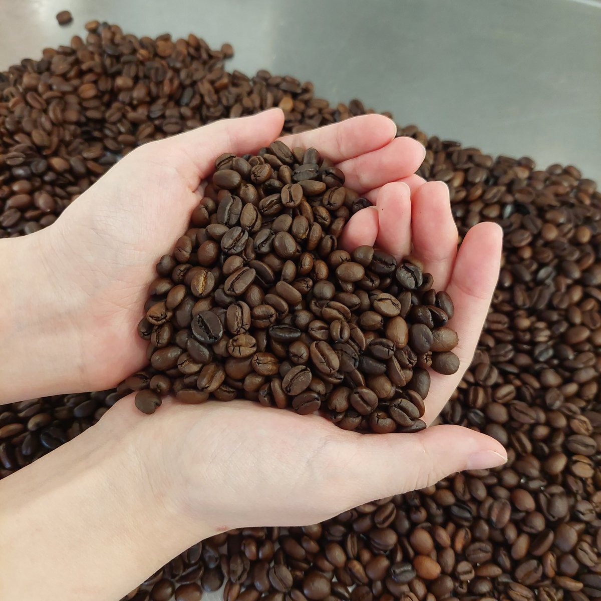 bingtan06352972's tweet image. ☕
#coffeebeans #electivecourse