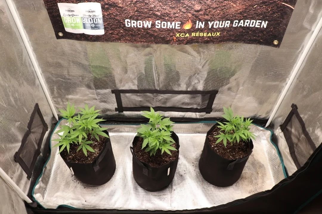 UNITFARM_led's tweet photo. #repost from xcareseaux

UF4000, 360W &amp; Upgrade driver
🎉🎉🎉
🌱CS$ 199.99 in https://t.co/5IpcX38sGu (only 7 inventory)🌱
🌱$ 209.99 in https://t.co/eeQvzCy3YZ (only 1 inventory)🌱

#ledgrow #ledgrown #ledgrowlights #ledgrowlight #ledplantlight #ledgrowlightbar #lm301h https://t.co/AufzjeqNGi