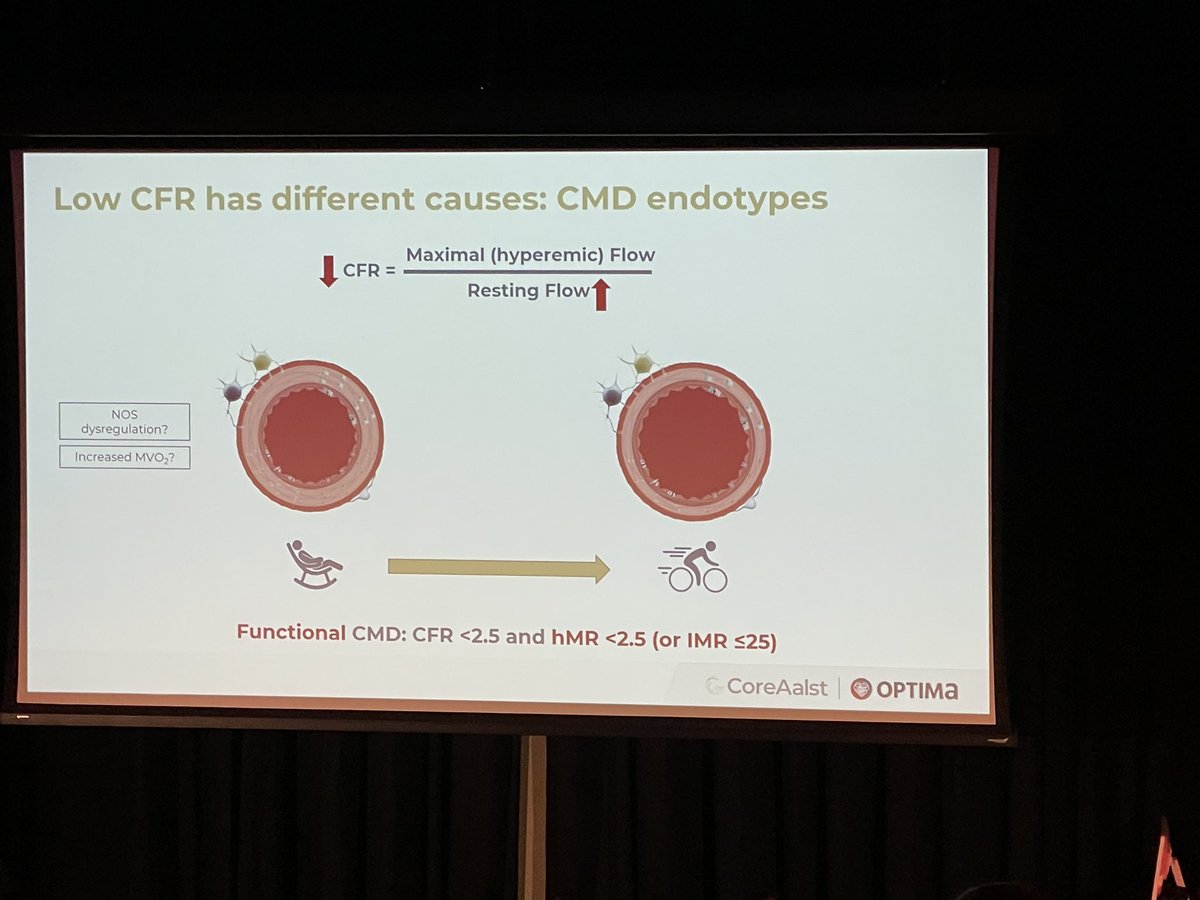 DMunhoz's tweet photo. Do you know you #CoronaryMicrovascularDysfunction endotypes? What happens when the coronary microcirculation is already vasodilated at baseline? #CardioTwitter #Cardiology #EndothelialDysfuncion @orsiacademy https://t.co/ZU6dmdv6Mu