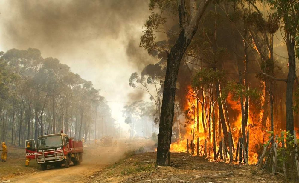 marcotaffi's tweet photo. Sette milioni in fuga per il clima. Dato parecchio sottostimato, però.

https://t.co/S8tZJdguAc

Chiamateli #Immigrati https://t.co/wHTE7vbCjX
