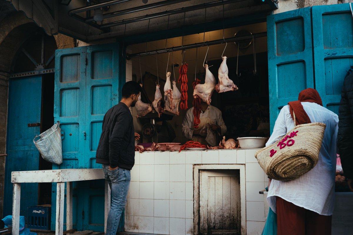 strongmaz's tweet photo. Essaouira, Morocco 2023 https://t.co/chiao38Vmt