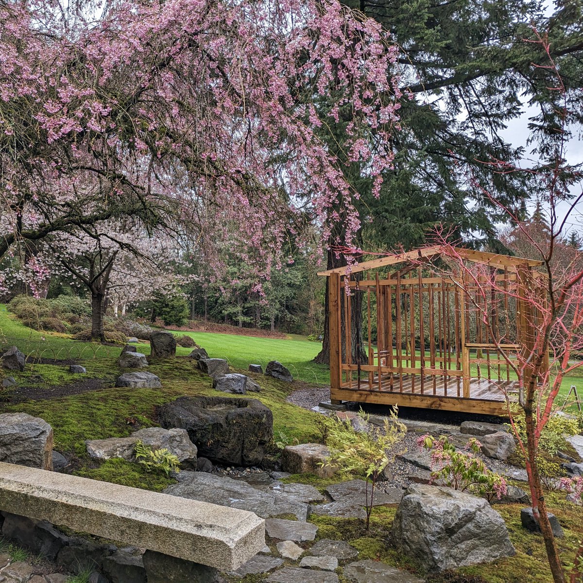 Sakura Days Japan Fair | 2026 Apr 11–12 tweet media