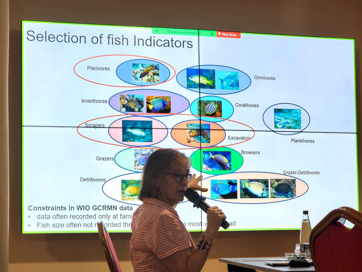 cordioea's tweet photo. 🪸🪸🪸
We are pleased to have hosted the Kenyan coral reef network in a meeting to discuss progress with the National Coral Reef Assessment (NCRA). This work builds on our publication (`21) of the RLE of coral reefs in the WIO. 

Thanks to @noradno, @iki_germany &amp; @FaunaFloraInt https://t.co/l7Iq3XrwEd