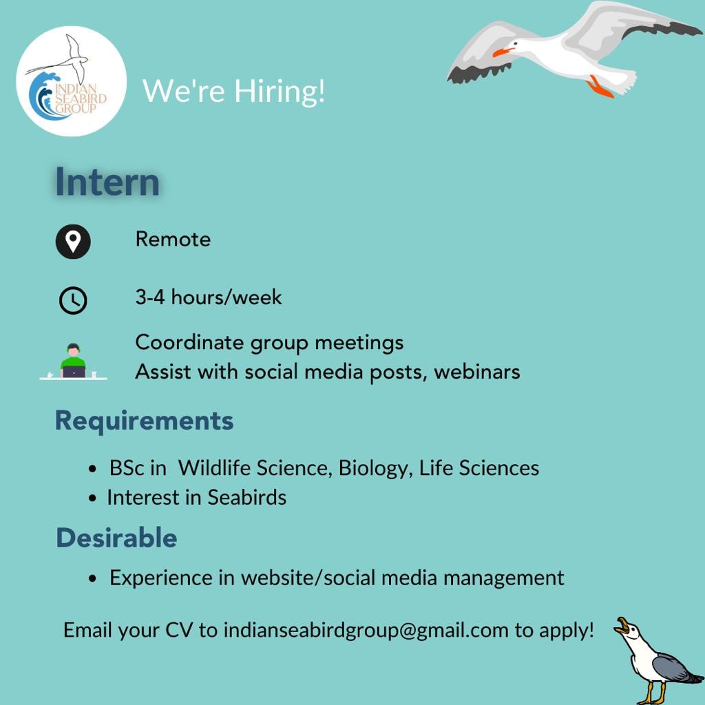 Indian Seabird Group tweet media