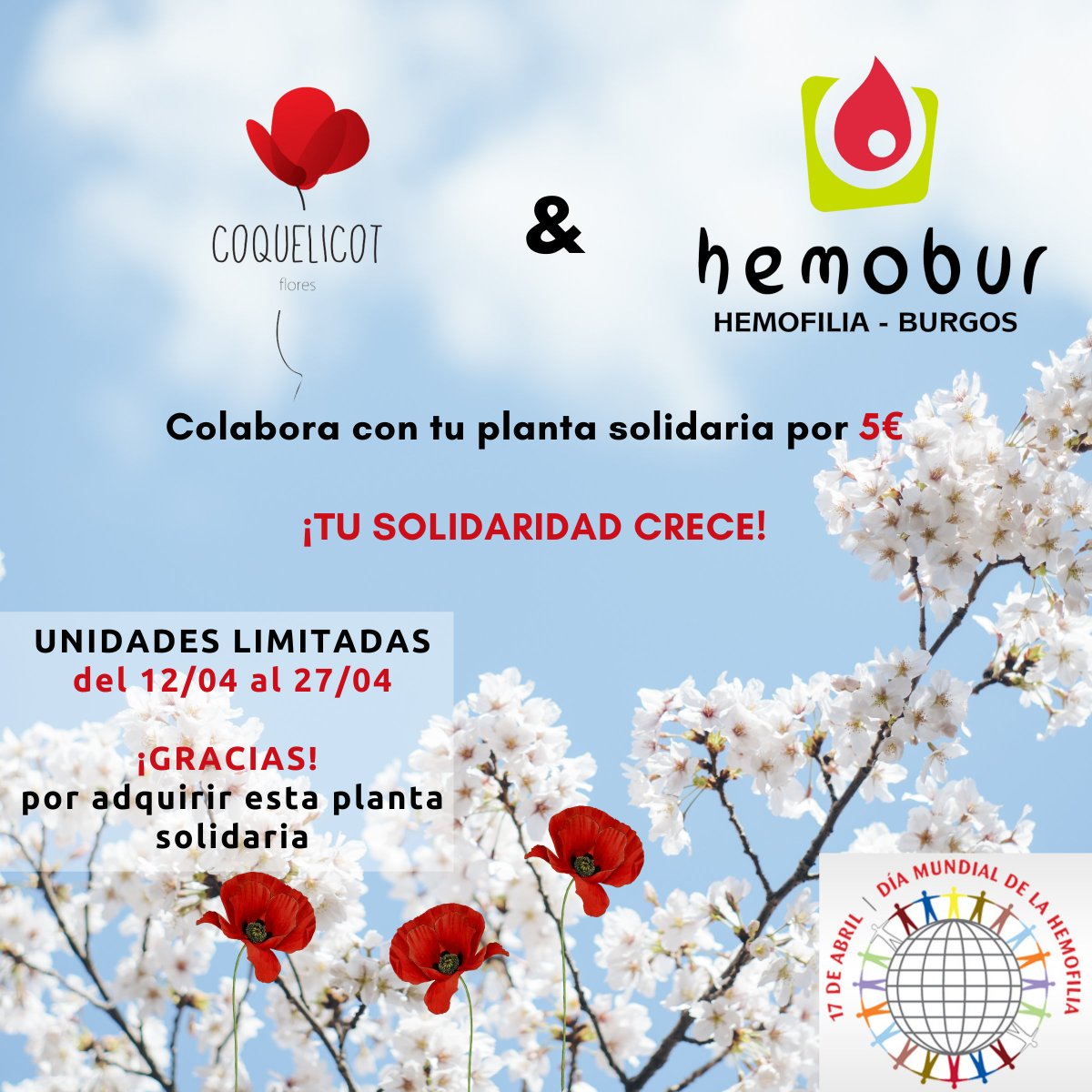 hemofiliaburgos tweet picture