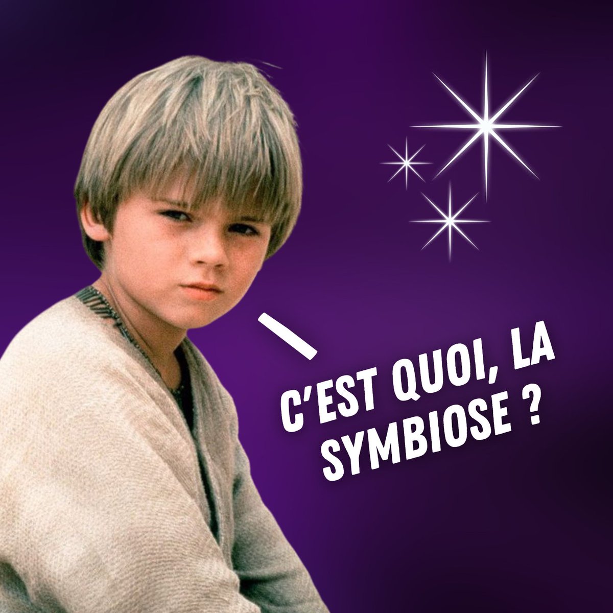 Gabriel Macé tweet media