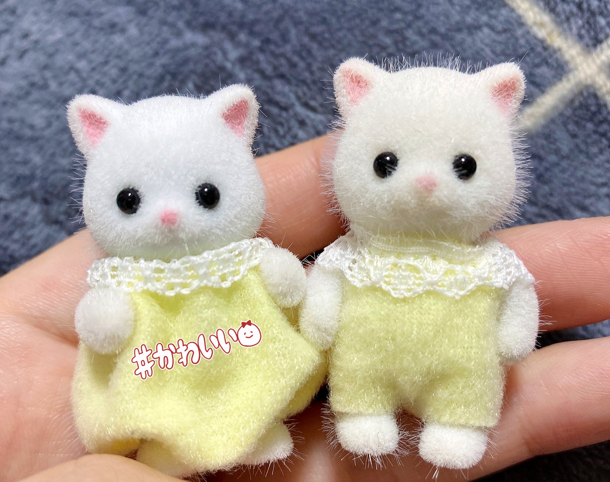 Sylvanian Families ペルシャネコ 赤ちゃん 15個